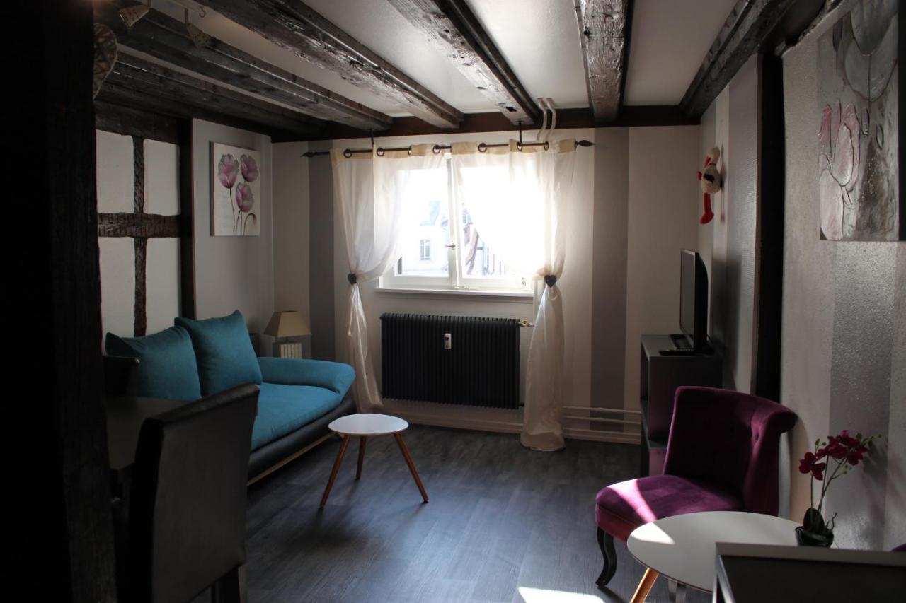 Appartement Les Violettes Colmar Exteriér fotografie