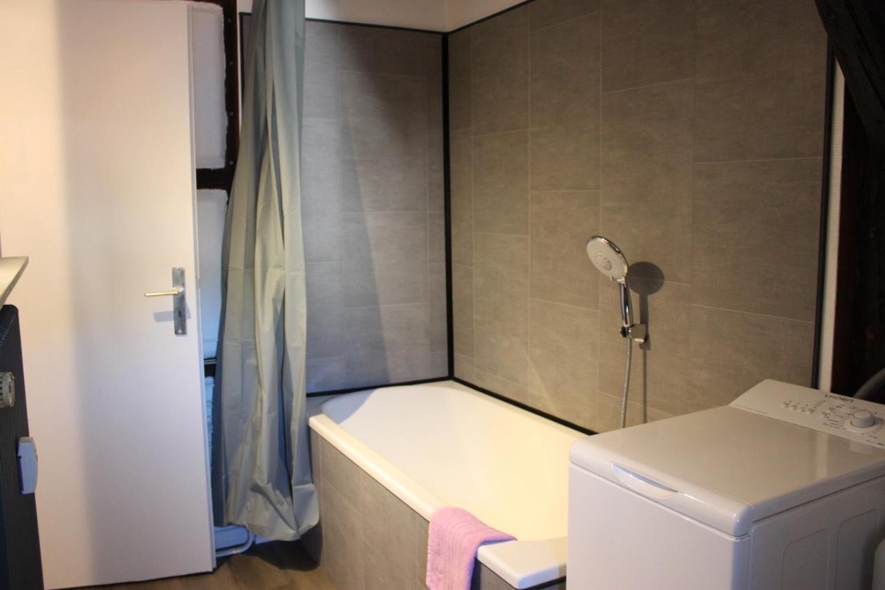 Appartement Les Violettes Colmar Exteriér fotografie